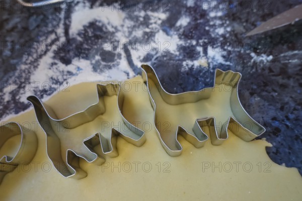 Swabian cuisine, Swabian Christmas biscuits, preparation of cookie cutters, shortbread biscuits,