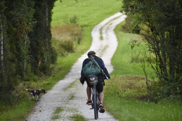 Hunter on a bicycle with rucksack and rifle, accompanied by his hunting dog, on a gravel road near