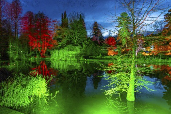 Parkleuchten, event in winter, in the Grugapark in Essen, many different light installations,