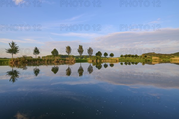 Lake in spring with row of trees and reflection, Drei Gleichen, Ilm-Kreis, Thuringia, Germany,