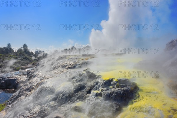 Prince of Wales and Pohutu geysers erupting, Te Puia Thermal Valley, Rotorua, Bay of Plenty, North