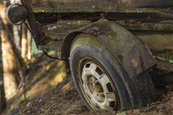 The rusty wheel of a wooden wagon in the forest, surrounded by nature and signs of age, Neukirchen