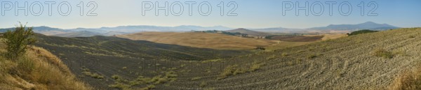 Typical Tuscan landscape in Val d'Orcia with hills, trees, fields, farmhouses and cypresses in