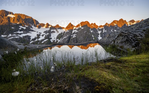 Rocky mountain peaks with reflection, small pond with cotton grass in moor landscape at Trollfjord