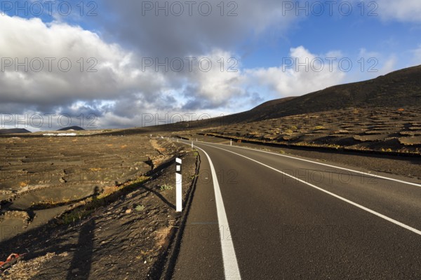 Empty country road through wine-growing area, typical landscape with volcanic mountains, La Geria,