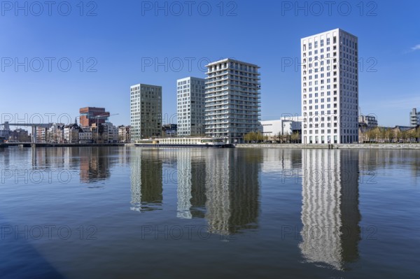 Kattendijkdok, harbour basin, high-rise residential buildings, apartment buildings, old harbour