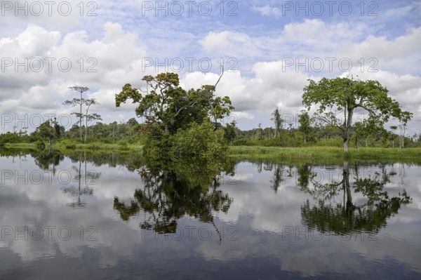 Waterscape on the Akaka River, Loango National Park, Parc National de Loango, Ogooué-Maritime