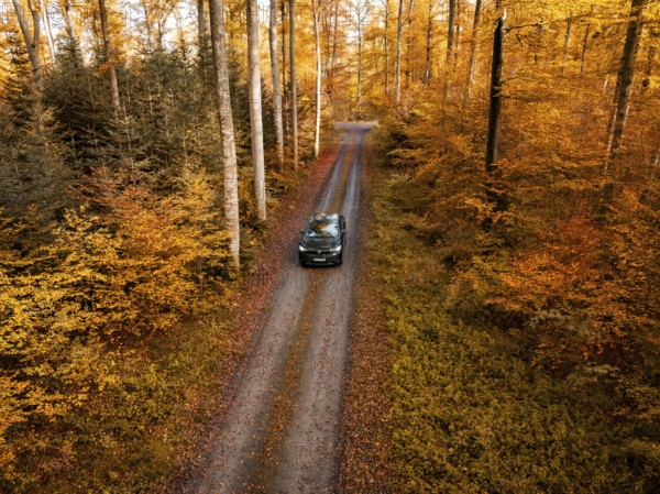 Car driving along a narrow path through a colourful autumnal forest, electric car, VW ID5,