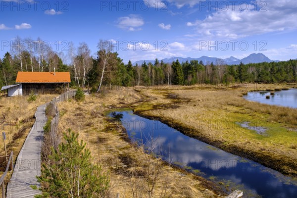 Nature discovery trail, wet moorland, peat extraction, Nicklheimer Filzen, Nickelheim, Upper
