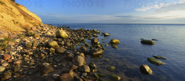 Cliffs and boulders on the coast of the Baltic Sea in the evening light, Reddevitzer Höft, Mönchgut