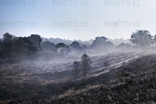 Landscape with wind turbines in the morning glow in autumn, Westruper Heide, Haltern am See, Ruhr