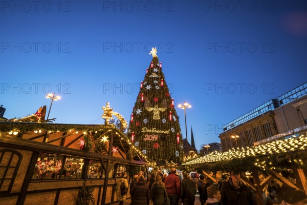 The largest Christmas tree at the Dortmund Christmas market at dusk, Dortmund, North