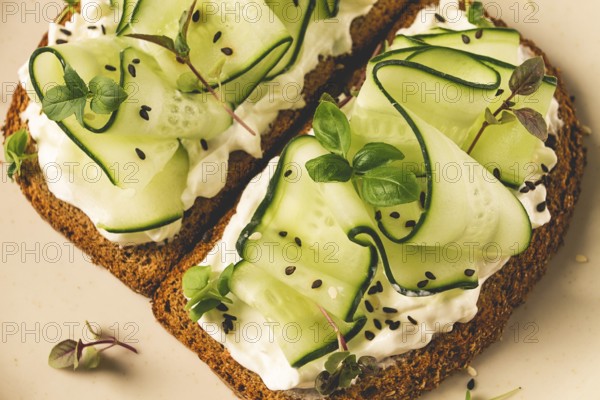 Breakfast, cereal bread sandwiches, cream cheese, sliced cucumber, with micro greenery on a light