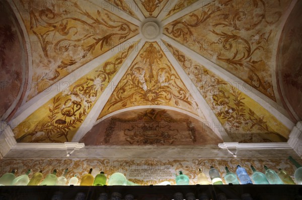 Interior view, ceiling of the monastery pharmacy of the Charterhouse, Iglesia de la Cartuja, Real