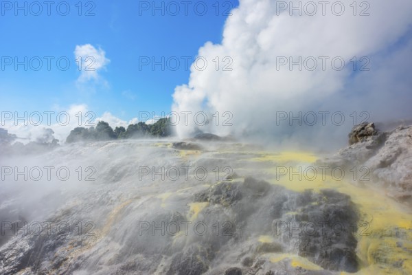 Prince of Wales and Pohutu geysers erupting, Te Puia Thermal Valley, Rotorua, Bay of Plenty, North