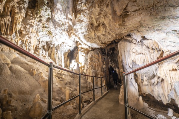 Tourists walking on a footpath and exploring the magnificent postojna cave in slovenia, a popular