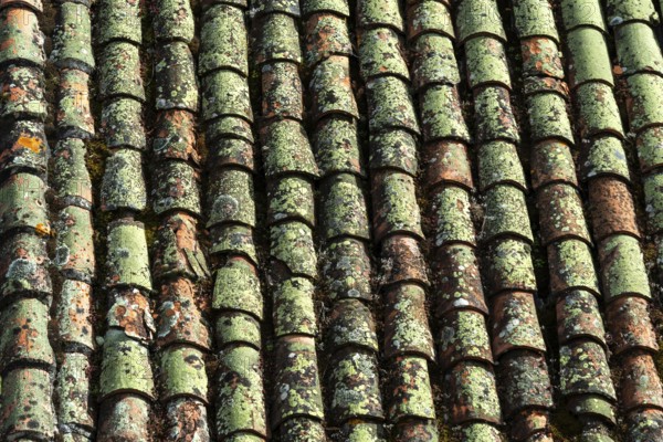 Close-up view of terracotta roof tiles showcasing unique textures and colors. The surface exhibits