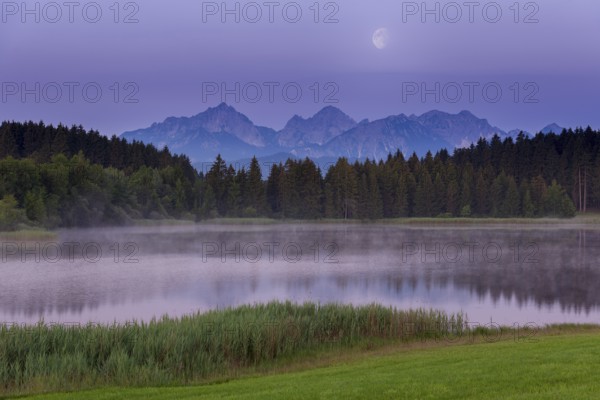 Foggy lake at dawn with visible mountains and forests, quiet atmosphere, Hegratsrieder See near