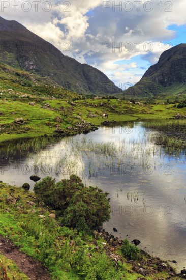 Lakeshore at dusk, Gap of Dunloe mountain pass, Killarney, Ring of Kerry scenic road, Iveragh