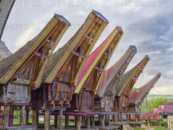 Traditional colourful houses, curved roofs, village in Tana Toraja, Rantepao, Sulawesi, Indonesia,