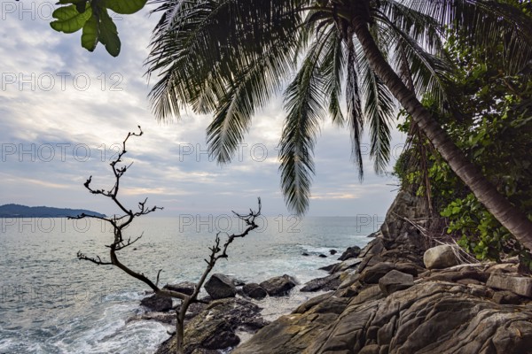Wild beach with surf on the coast facing the Indian Ocean. Palm trees and high waves at sunset.