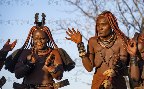 Traditional Himba woman clapping, music and dance, portraits, in the evening light, near Opuwo,