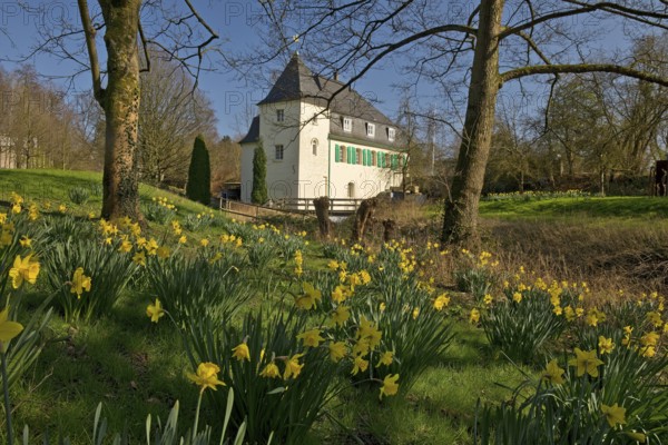 Goldberg Mill in spring, historical sight, Mettmann, Bergisches Land, North Rhine-Westphalia,