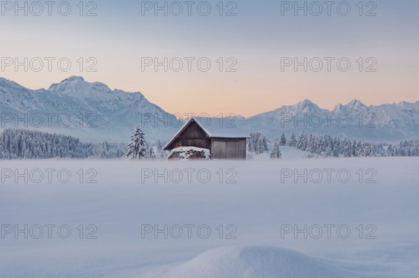 Deep snowy winter morning mood near Halblech in the foothills of the Alps in the Allgäu with the
