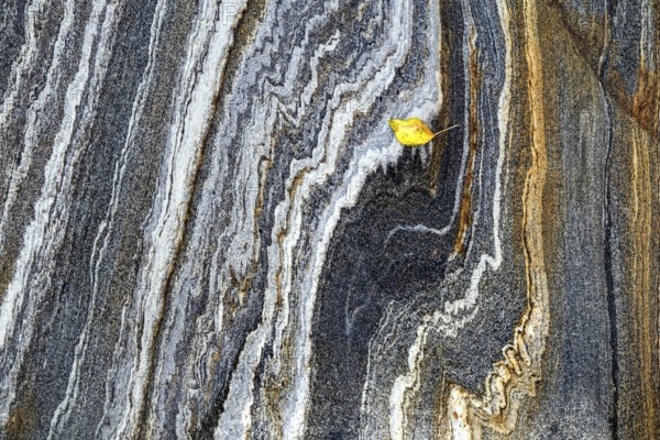 Rock structures with autumn leaves in the Verzasca River, near Lavertezzo, Canton Ticino,