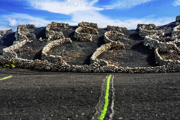 2016, Tiagua, Lanzarote, Farm Museum El Patio, Tiagua, ESP, Spain, Canary Islands, Canary Islands,