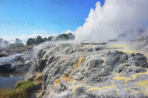 Prince of Wales and Pohutu geysers erupting, Te Puia Thermal Valley, Rotorua, Bay of Plenty, North