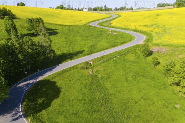 Aerial view of the winding serpentine road between blossoming rapeseed fields from Reifland to