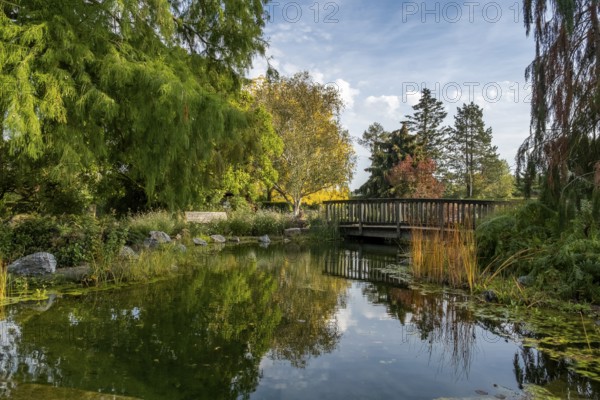 District educational garden, demonstration garden and school garden, Burgsteinfurt, Steinfurt,