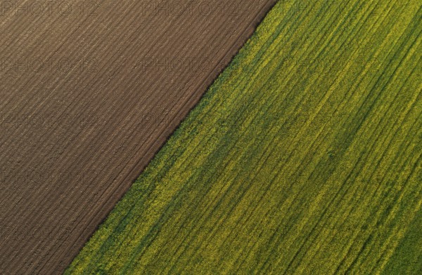 Drone view, green and ploughed fields, agricultural landscape, Innviertel, Upper Austria, Austria,