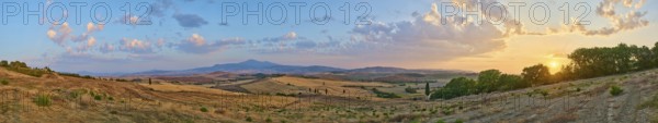 Typical Tuscan landscape in Val d'Orcia with hills, trees, fields, cypresses and farm road in