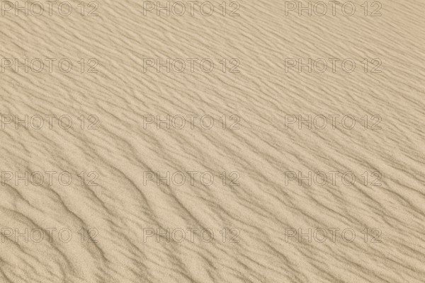 Close-up of sandy dunes with wave-like patterns and a warm, beige colour scheme, Sankt