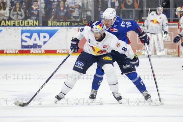 DEL, German Ice Hockey League season 2024/25, Matchday 22: Adler Mannheim vs Red Bull Munich.