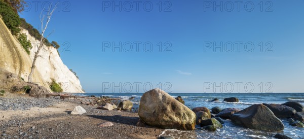 Beach with boulders and uprooted trees at the chalk cliffs of Møns Klint on the Baltic Sea, Møn