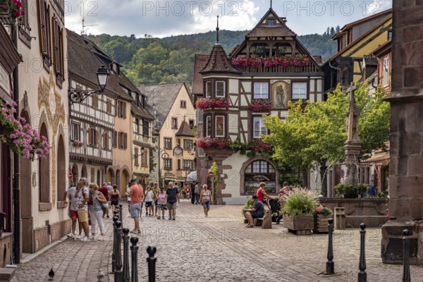 Half-timbered houses in the historic old town of Kaysersberg, Alsace, France, Europe