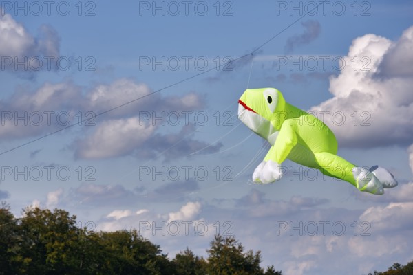 Kite flying in the sky, frog, kite festival in Vinsebeck, Cumulus, Steinheim, Eggegebirge and