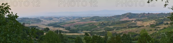Typical viw of the Tuscan landscape in Val d'Orcia with hills, trees, fields, cypresses and farm