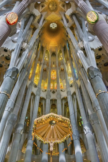 Interior of the Familia Sagrada, religion, Christianity, by the architect Antonio Gaudi in