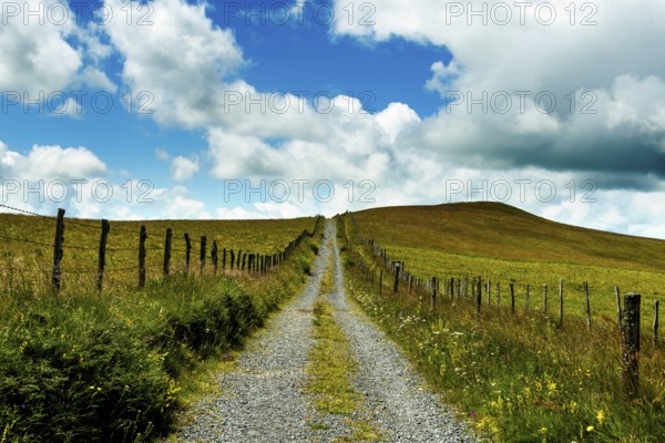 Path in Cezallier plateau, Auvergne volcanoes regional natural park, Puy de Dome department,