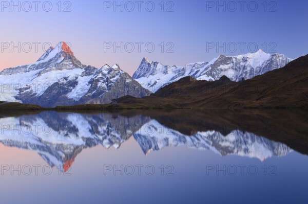 Bachalpsee, Schreckhorn, 4078 m, Finsteraarhorn, 4274 m, Bernese Oberland, Switzerland,