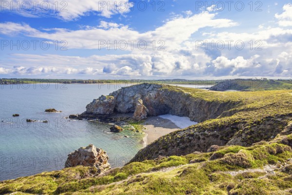 Awesome view at a rocky coastline with a sea bay and heath landscape a sunny summer day, Crozon