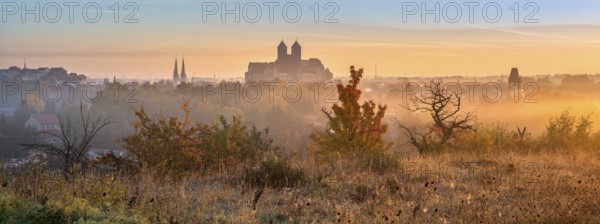 Panorama of Quedlinburg at sunrise, view of the castle hill with the collegiate church of St.