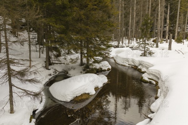 Lake Grosser Arbersee in late winter. The lake and the adjacent forest are snow covered. Germany,