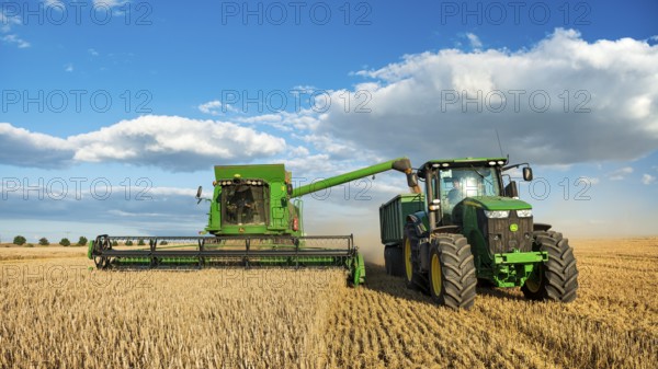 Combine harvester harvesting wheat and unloading grain onto tractor with trailer, endless