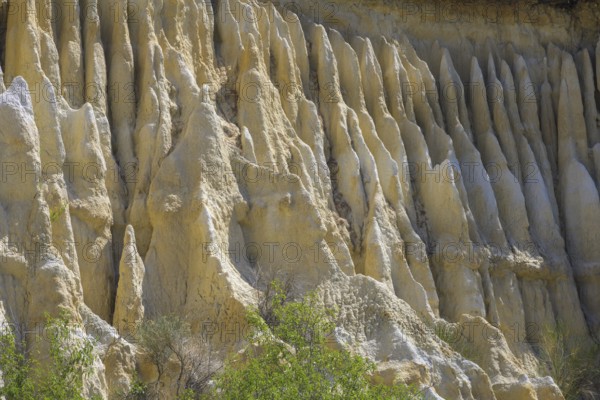 Detail of the sandstone cliffs of Les Orgues Ille-sur-Têt, Centre Ville Nord-Ouest, Département
