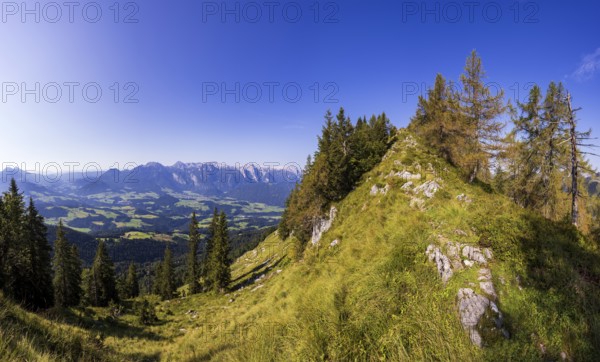 Mountain forest on the way to the Einberg with a view of the Lammertal and Tennengebirge, Postalm,